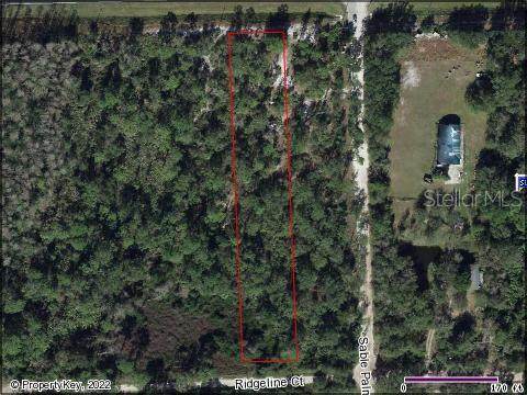 21424 Colonial Drive - Photo 1