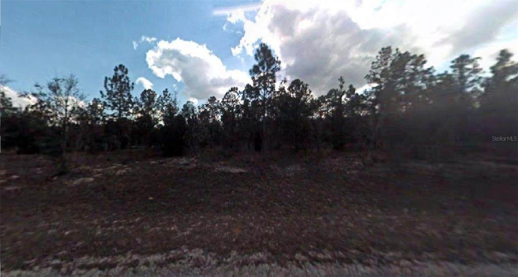 654 Nemo Drive - Photo 1