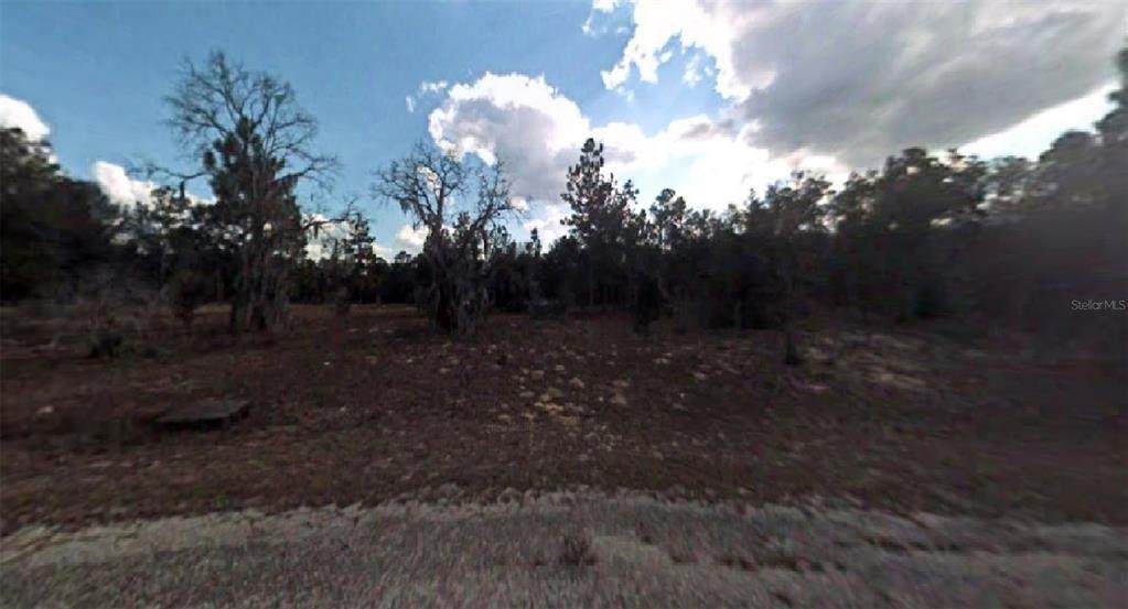 660 Nemo Drive - Photo 1