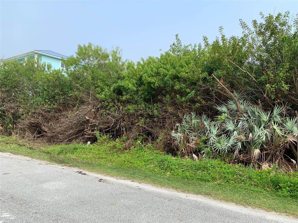 Bass Avenue - Photo 1