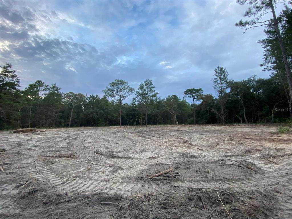 172ND PLACE Road - Photo 1