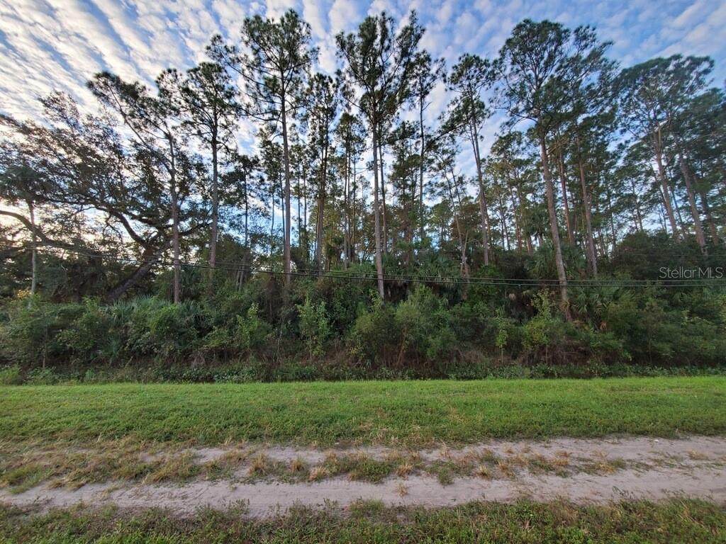 24902 Colonial Drive - Photo 1