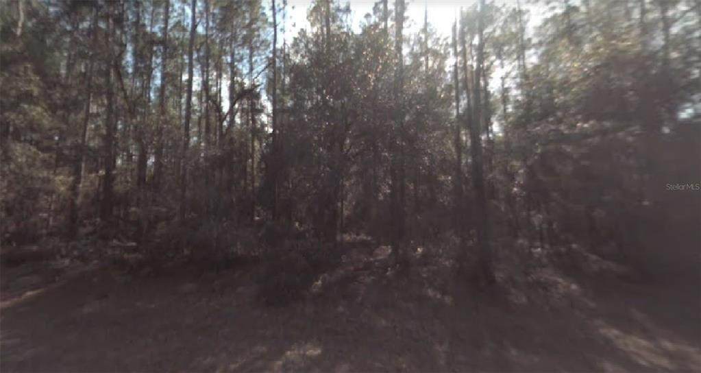402 Marquette Lane - Photo 1