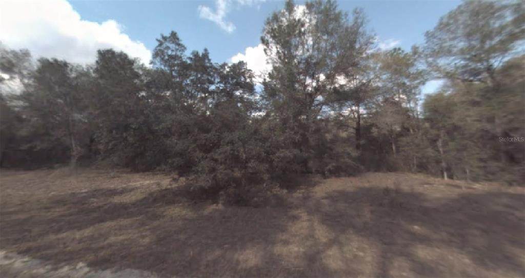 319 Canterbury Lane - Photo 1