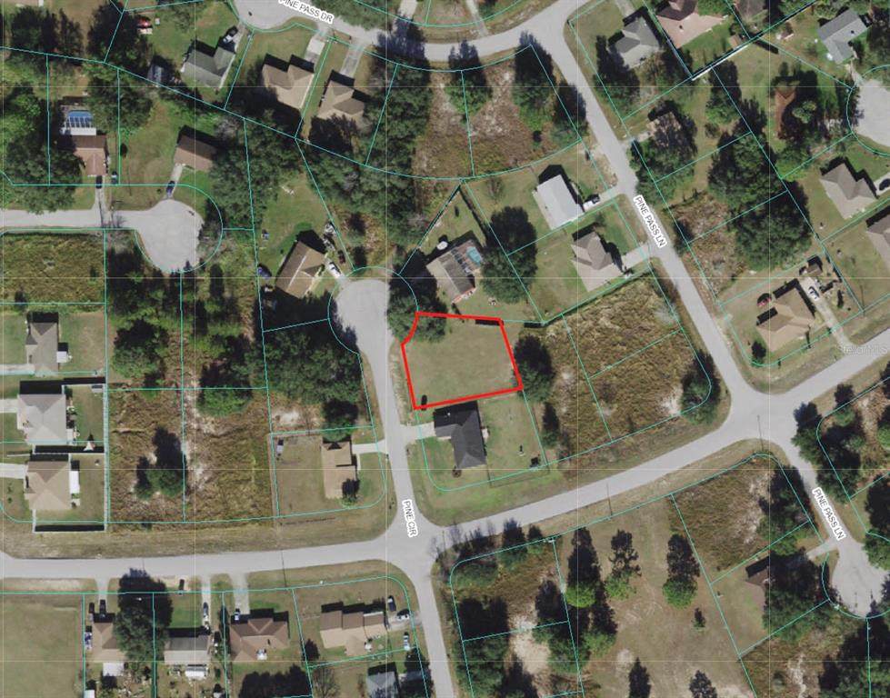 Pine Cir - Photo 1