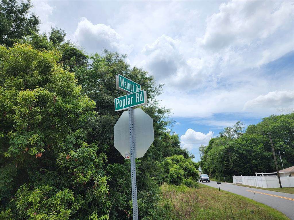 28 Poplar Road - Photo 1