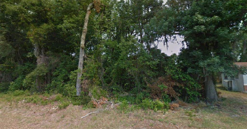 10589 Waxwing Lane - Photo 1