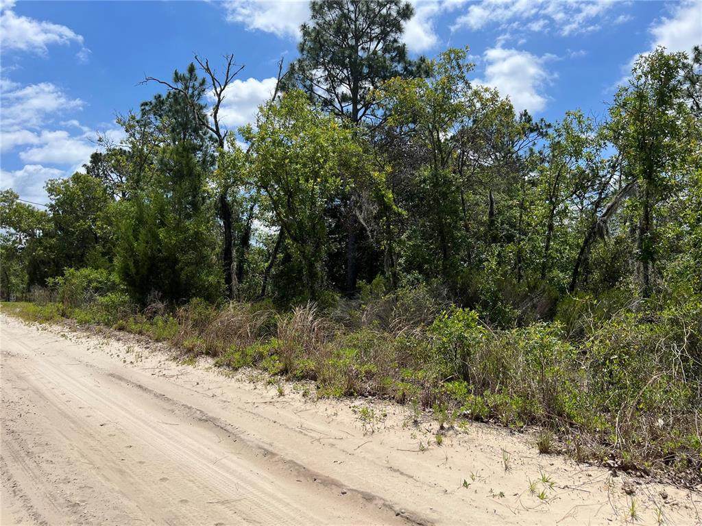 66TH Lane - Photo 1