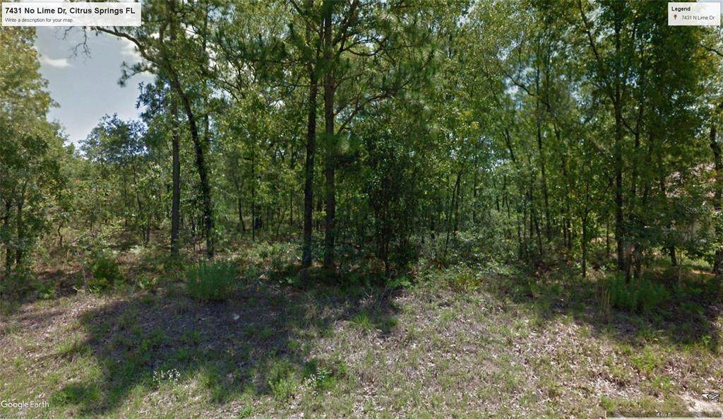 7431 Lime Drive - Photo 1