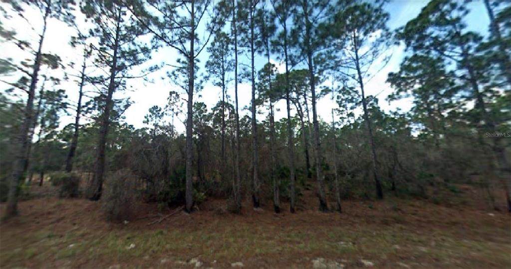 497 Dreamland Drive - Photo 1