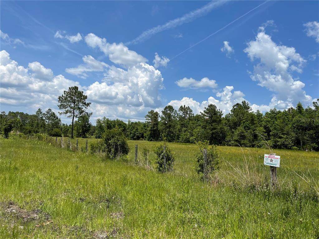 765 Us Hwy 17 - Photo 1