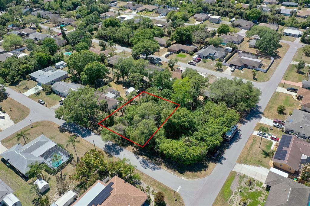 1321 Newton Street - Photo 1
