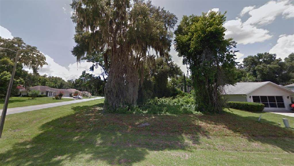 2810 Chandler Drive - Photo 1