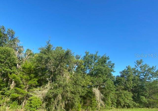 18TH Avenue - Photo 1