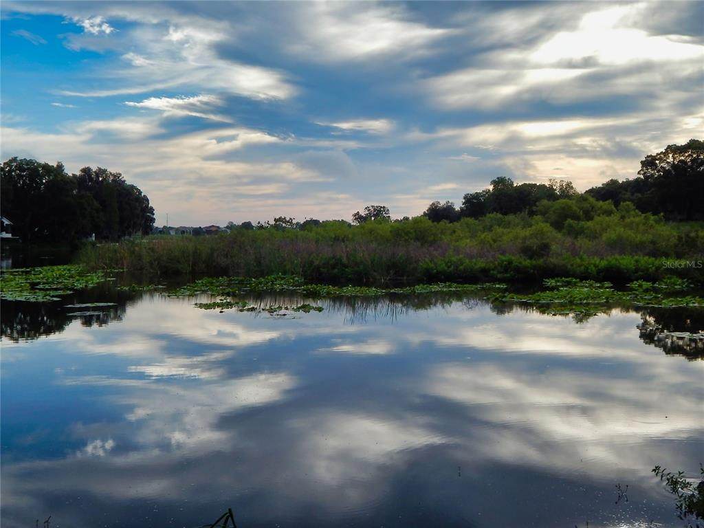 5442 Mount Olive Road - Photo 1