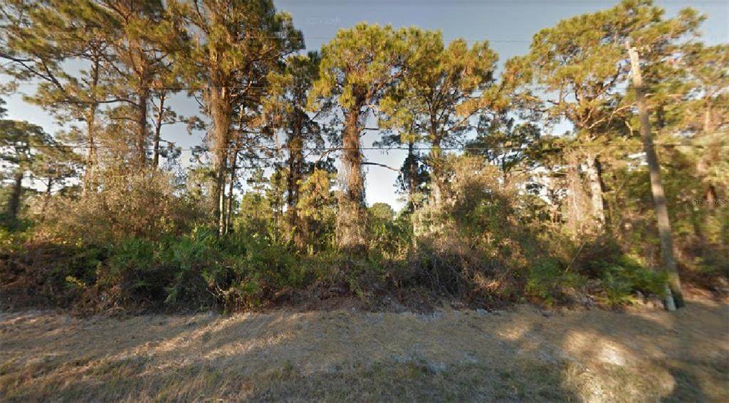 859 Cadis Street - Photo 1