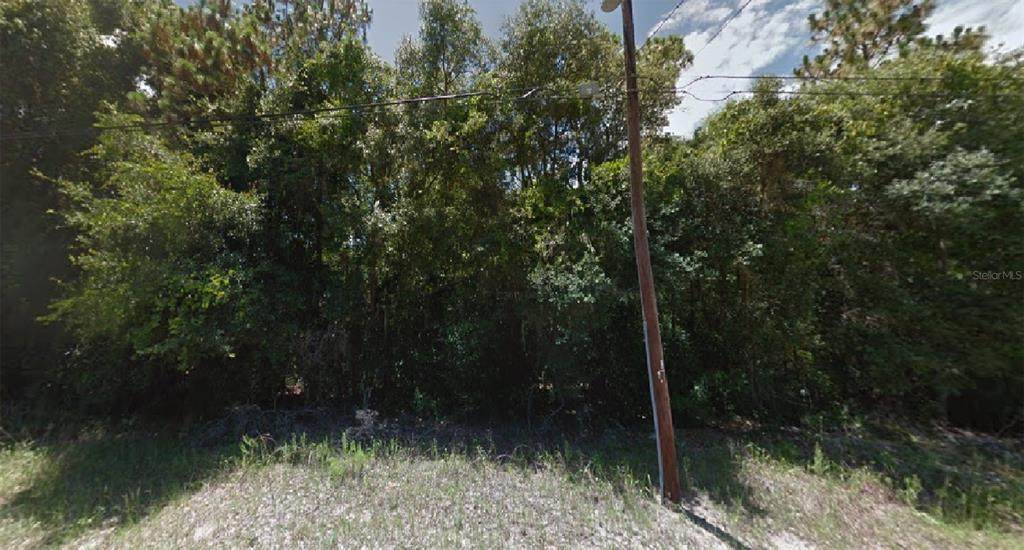 1147 Dartmouth Terrace - Photo 1