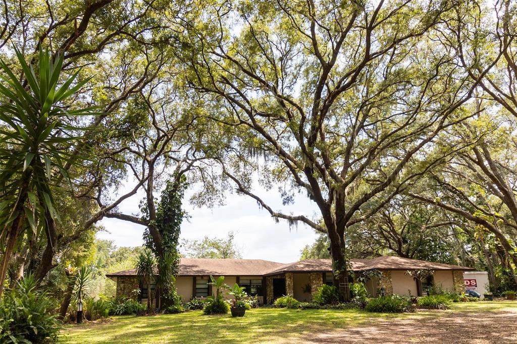 17144 Phil C Peters Road - Photo 1