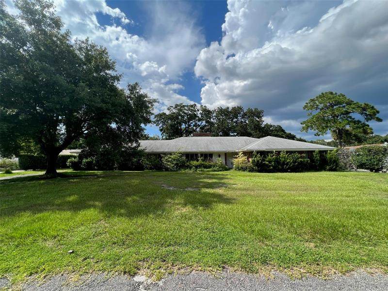105 Pineapple Lane - Photo 1