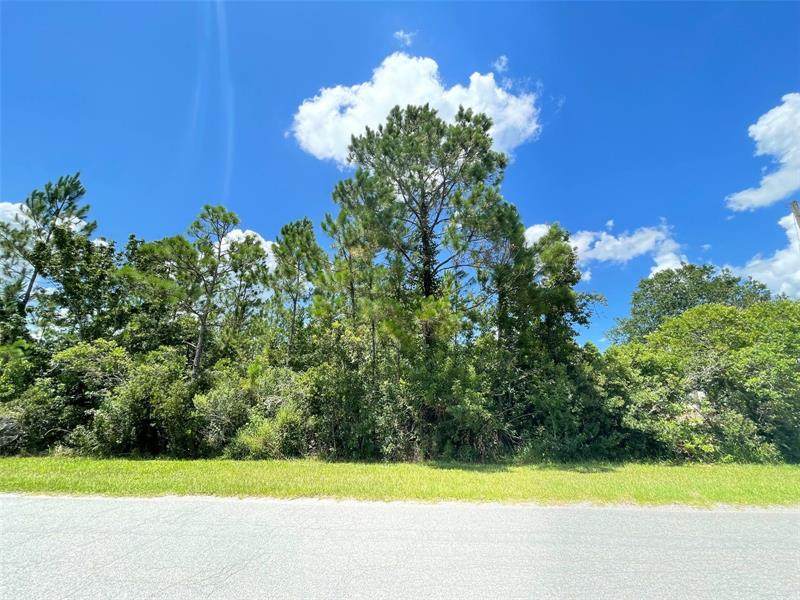 Lot 221 Peabody Street - Photo 1