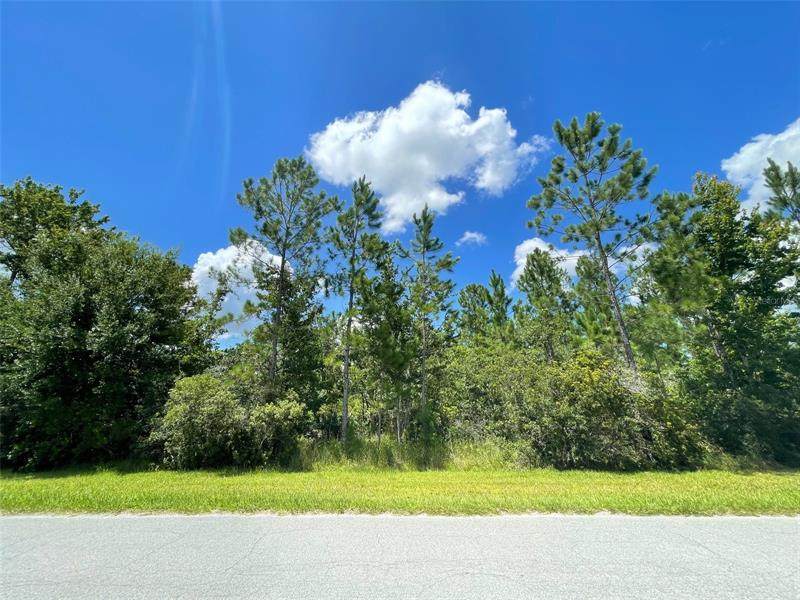 Lot 223 Peabody Street - Photo 1