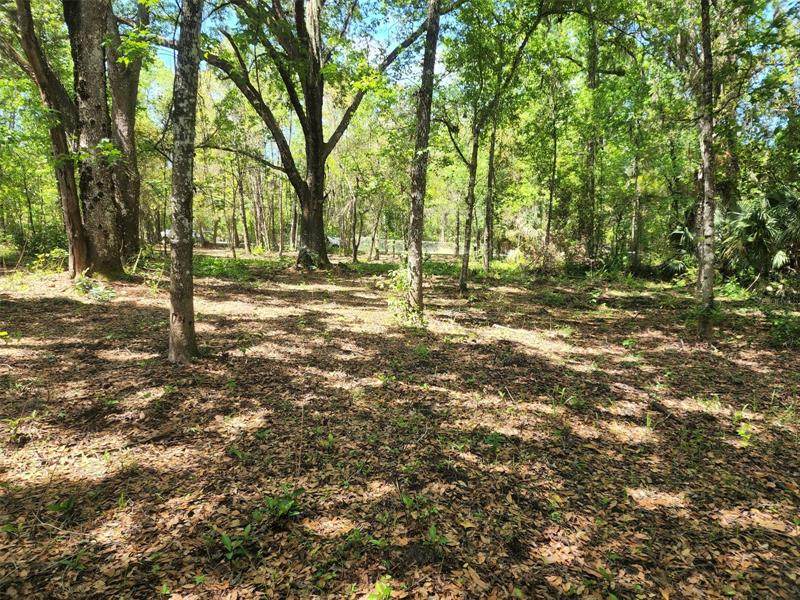 Lake Pickett Road - Photo 1