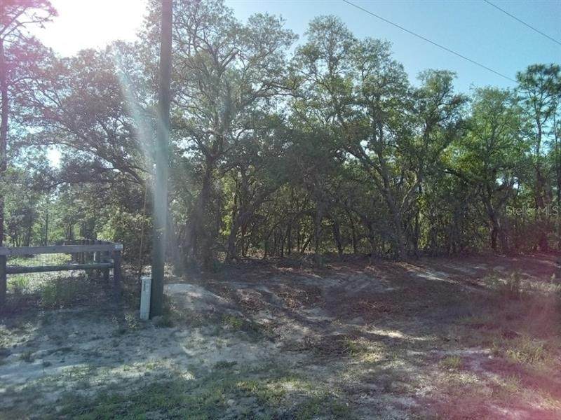 0000 125TH COURT Road - Photo 1