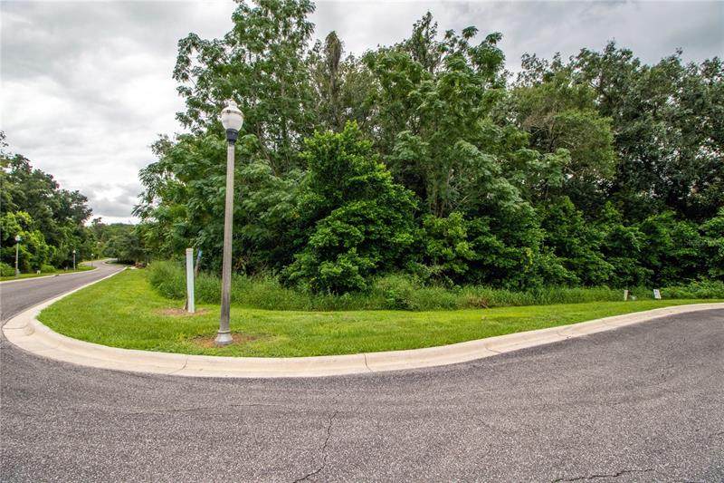 1309 Errol Green Court - Photo 1