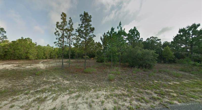 6894 Lime Drive - Photo 1