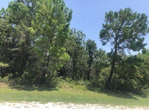 2479 Sand Pine Trail - Photo 1
