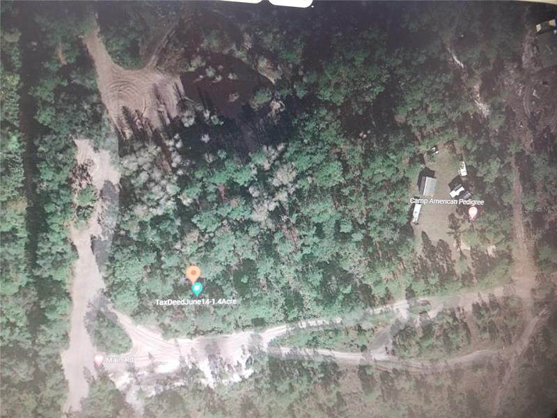 Holopaw Groves Road - Photo 1