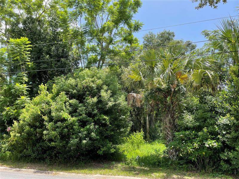 Pine Avenue - Photo 1