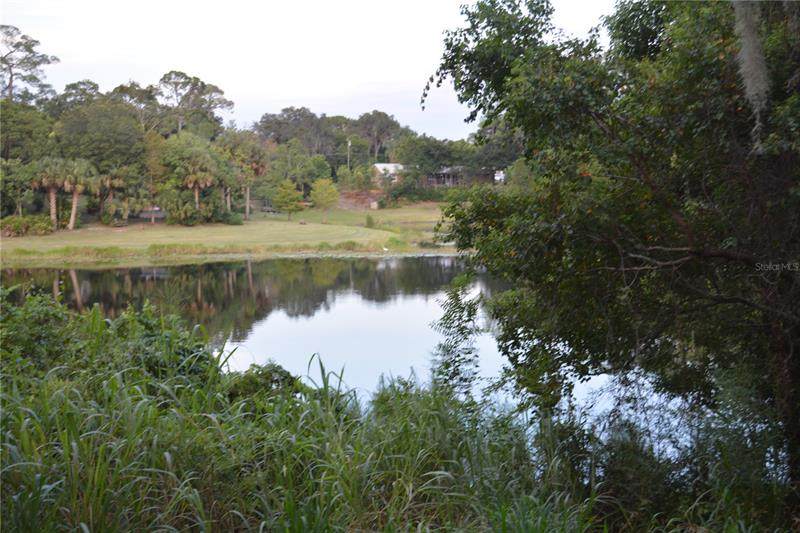 147 Serena Road Road - Photo 1