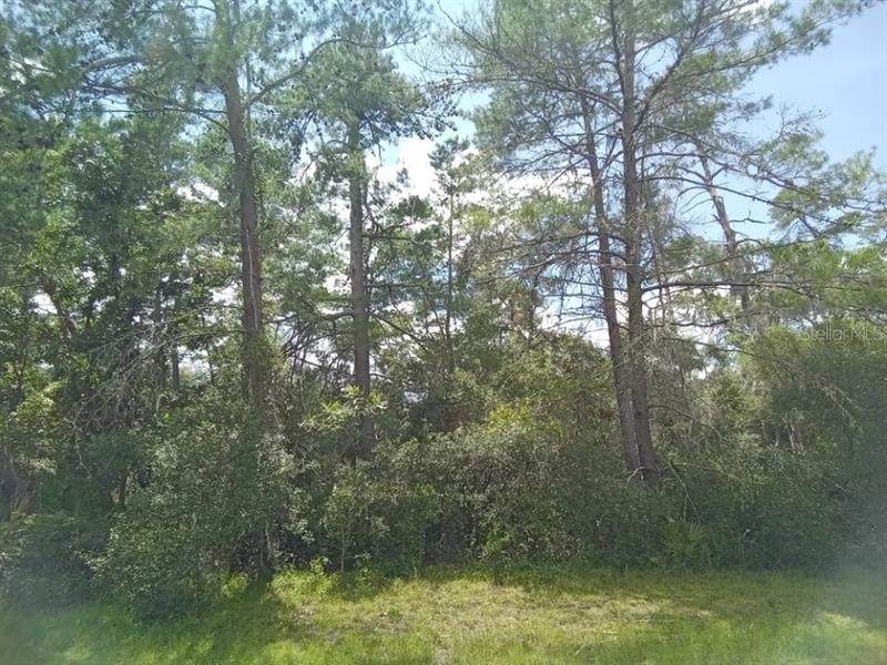 0 176TH Loop - Photo 1