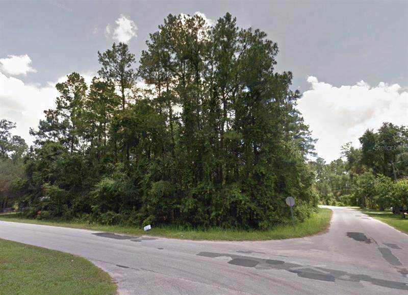 49 Pecan Drive - Photo 1