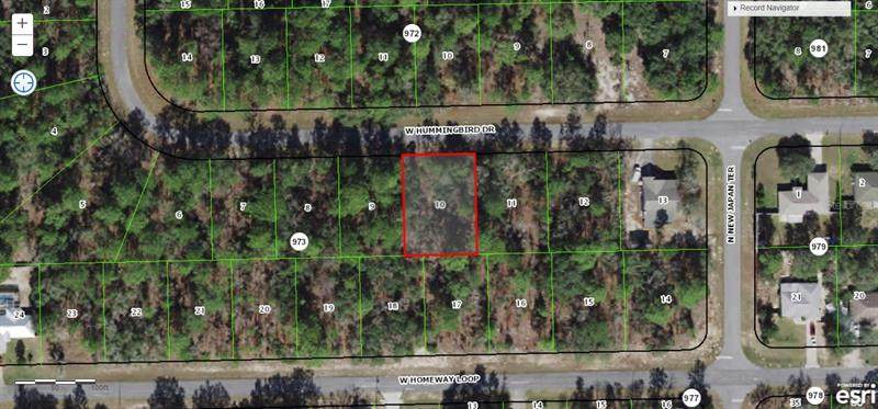 706 Hummingbird Drive - Photo 1