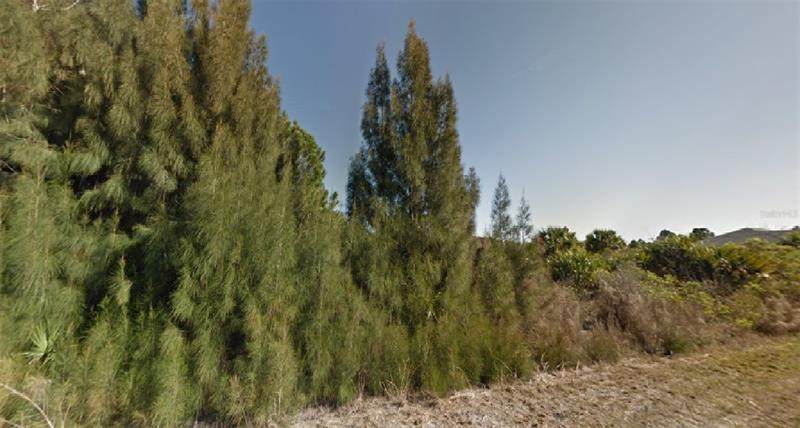 753 Kingfisher Street - Photo 1