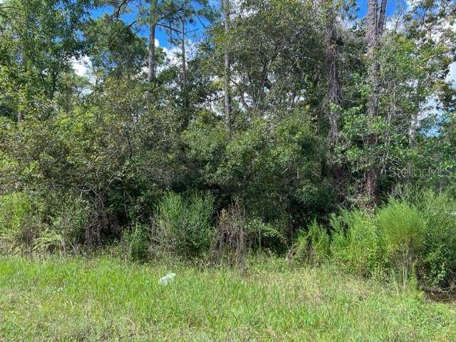 2290 East Pkwy - Photo 1