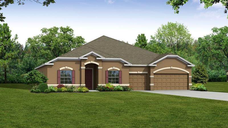 10038 Dolphin Gull Circle - Photo 1