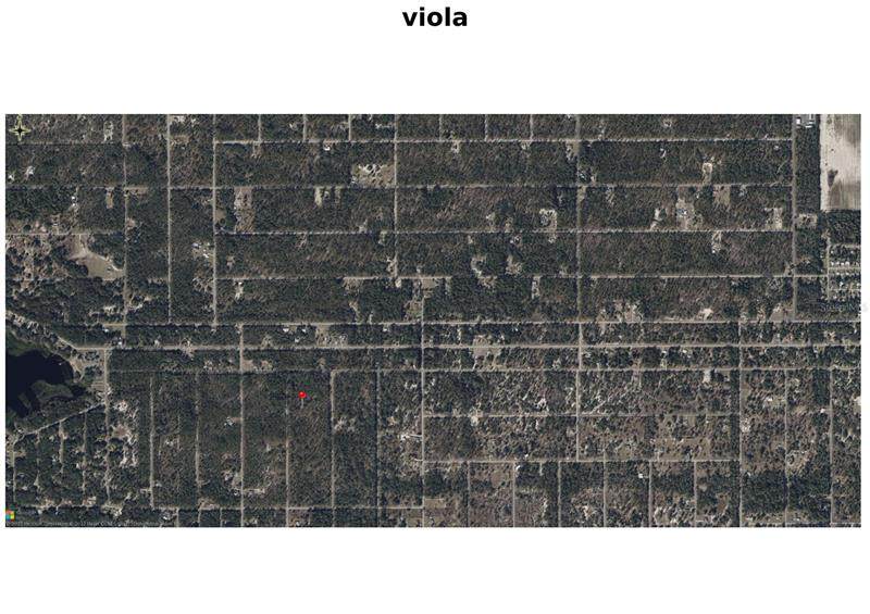 000 Viola Court - Photo 1