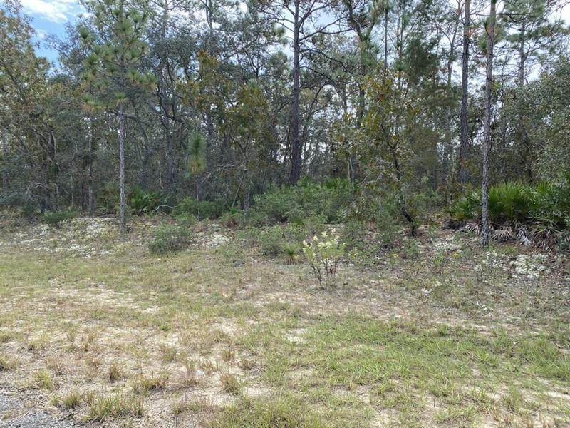 2484 Bentley Street - Photo 1