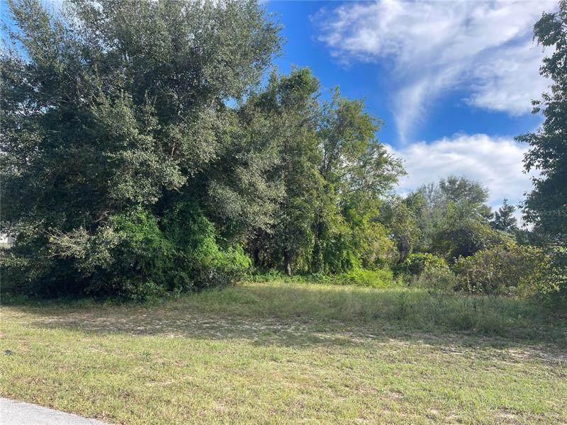 18322 Great Blue Heron Drive - Photo 1