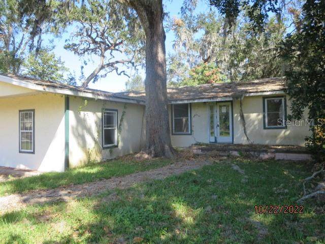 1711 Evergreen Street - Photo 1