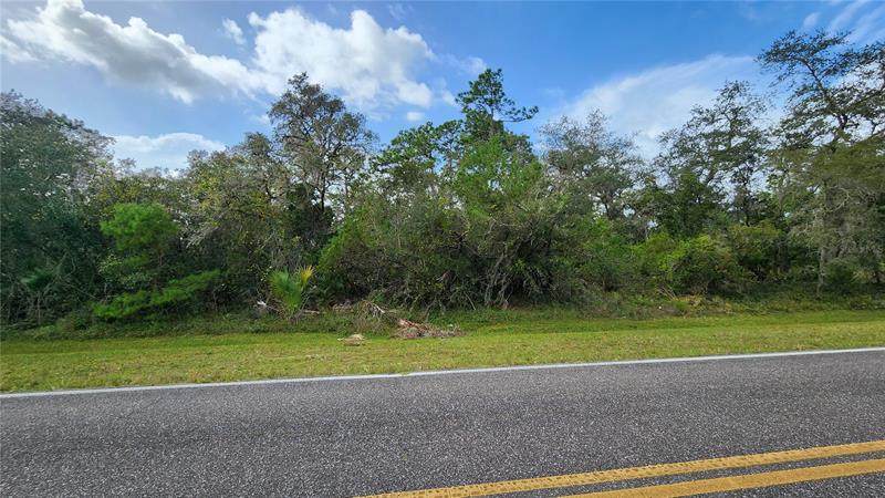 2954 Sled Road - Photo 1
