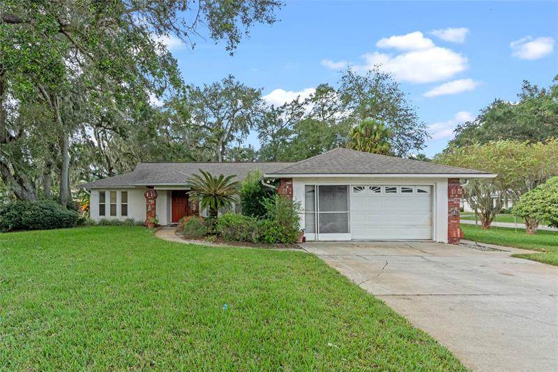 1828 Mango Tree Drive - Photo 1
