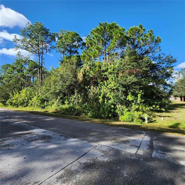 290 Mardi Gras Avenue - Photo 1