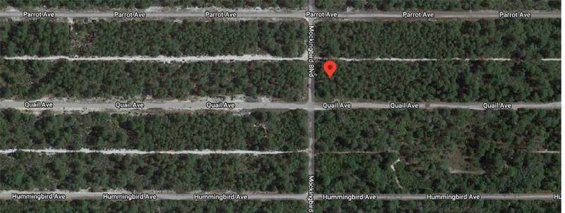 600 Mockingbird Boulevard - Photo 1
