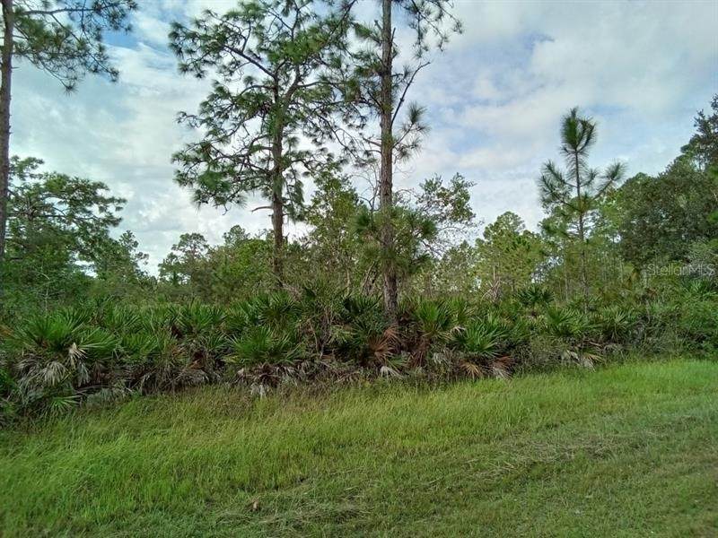 415 Plumosa Drive - Photo 1