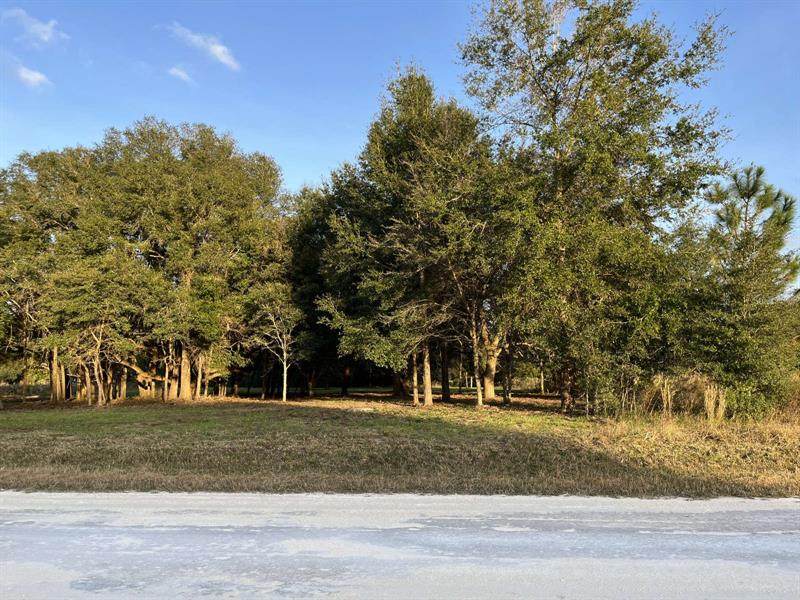 9066 Split Stone Drive - Photo 1