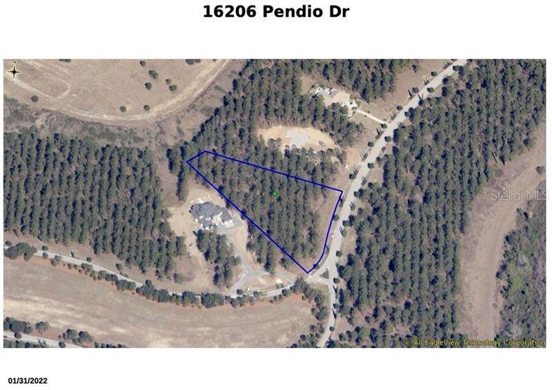 16216 Pendio Drive - Photo 1